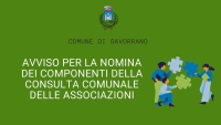 sfondo verde, dicitua Avviso per la nomina dei componenti della Consulta Comunale delle associazioni